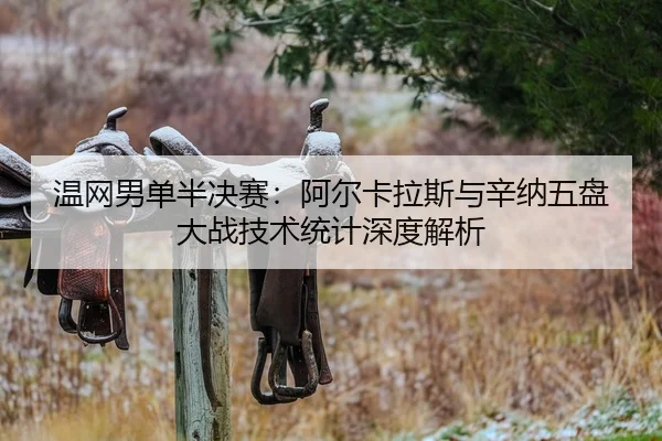 wen-wang-nan-dan-ban-jue-sai-a-er-ka-la-si-yu-xin-na-wu-pan-da-zhan-ji-shu-tong-ji-shen-du-jie-xi-2-803.jpg